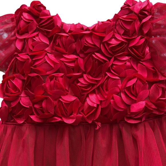 NEW Nanette Formal Party Dress Red Short Sleeve Rose Flower Princess Tulle‎ - 4T - Picture 2 of 14